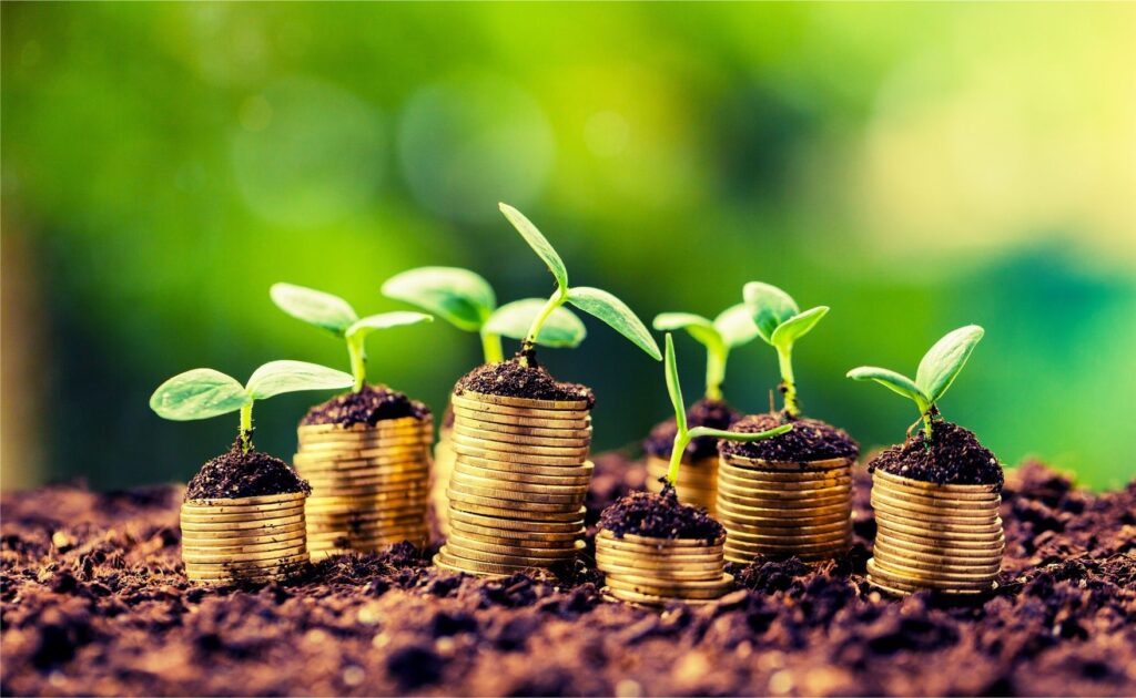 Comment investir tresorerie entreprise F